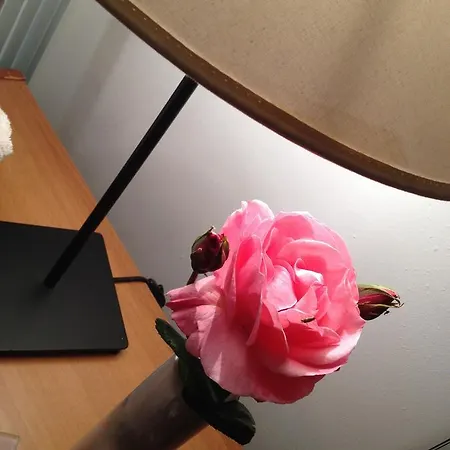 アパート Casa Di Ilaria